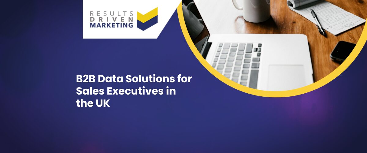 B2B Data Solutions for Sales Executives in the UK