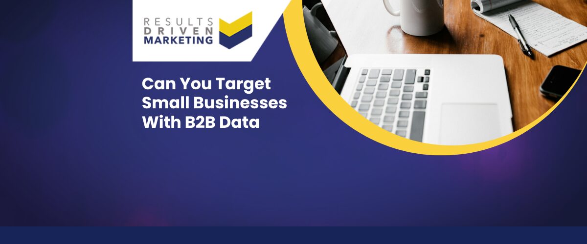 Can You Target Small Businesses With B2B Data